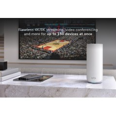 Netgear Orbi 870 Tri-Band (2.4 Ghz) RBE873-100EUS